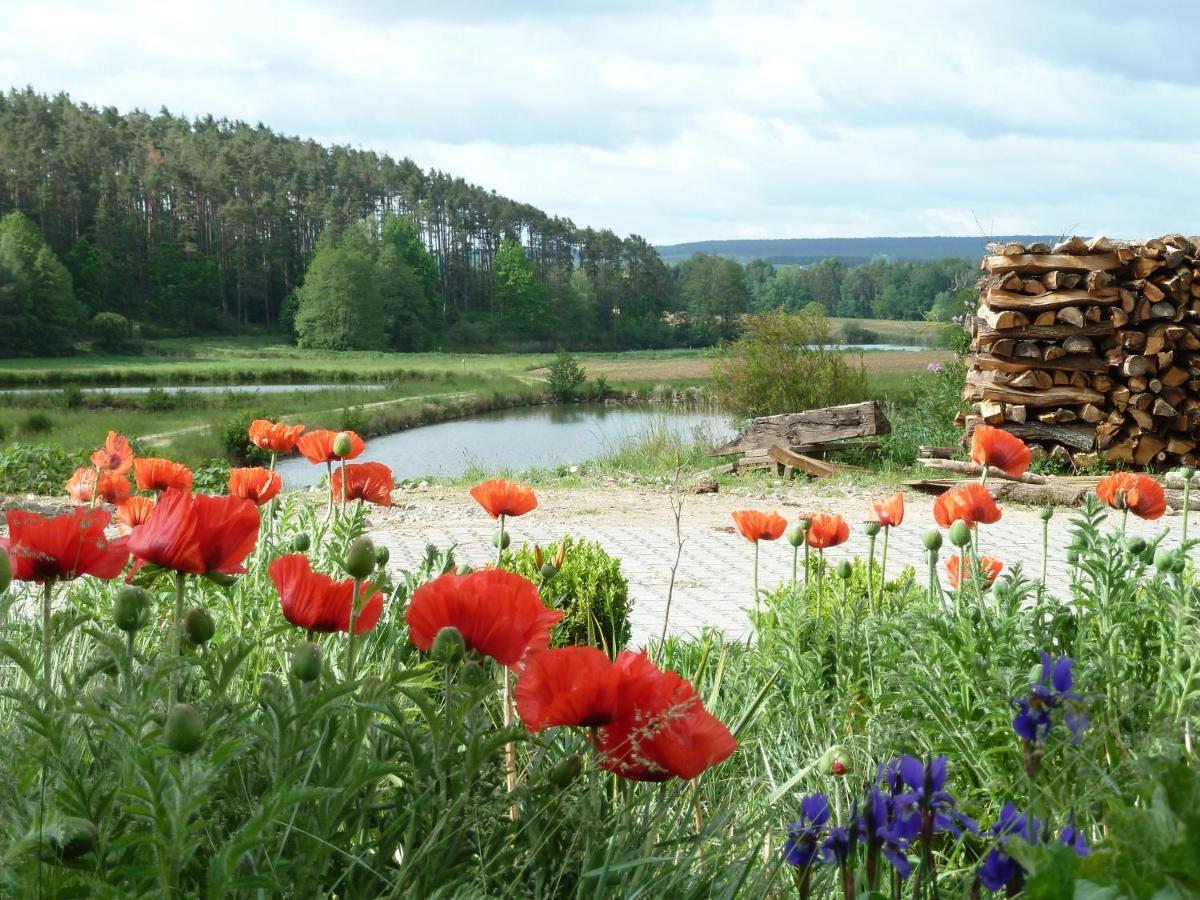 Ferienwohnungen Am Buechlhof Im Oberpfaelzer Seenland Neunburg vorm Wald Ngoại thất bức ảnh