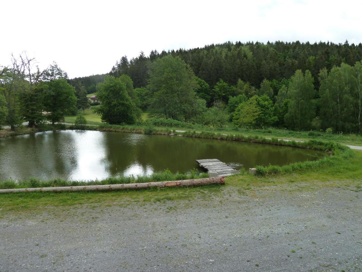 Ferienwohnungen Am Buechlhof Im Oberpfaelzer Seenland Neunburg vorm Wald Ngoại thất bức ảnh
